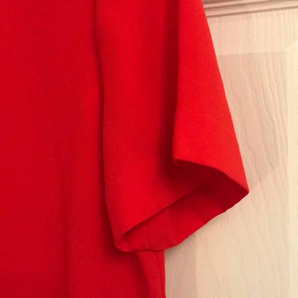 Red Shift Dress - Picture 4 of 6